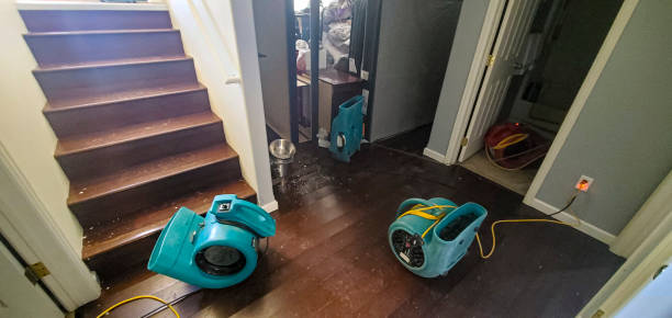 Best Emergency water damage restoration  in Sun City West, AZ