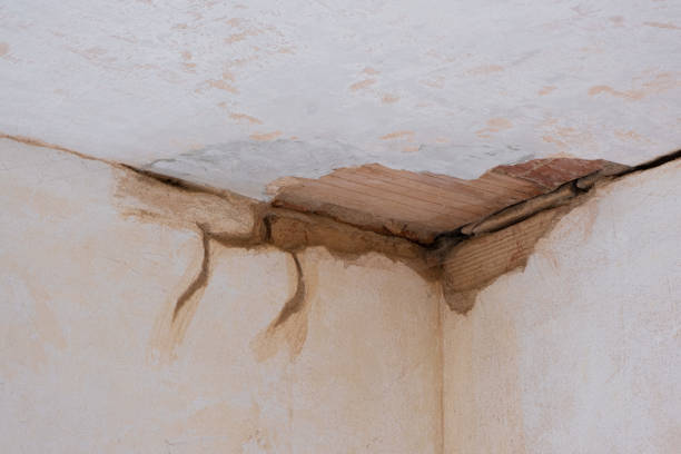 Trusted Sun City West, AZ Water damage restoration Experts
