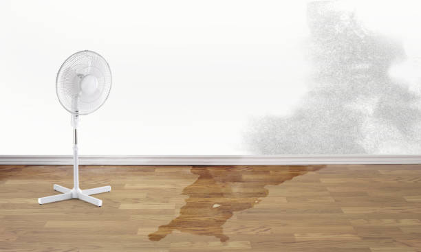 Best Residential water damage restoration  in Sun City West, AZ