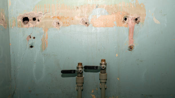 Best Local water damage restoration  in Sun City West, AZ