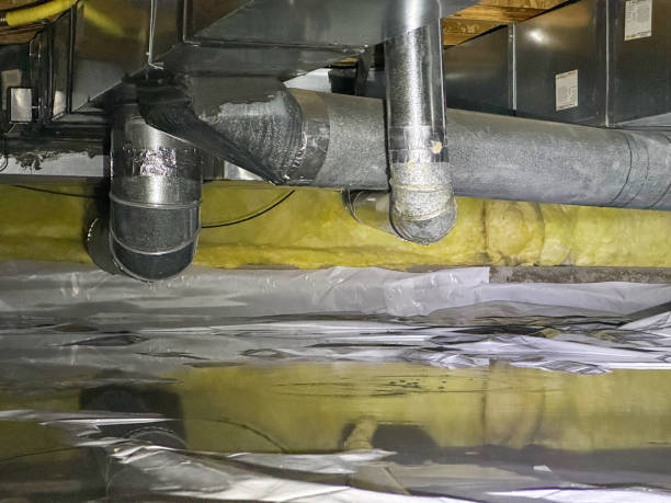 Best Mold removal after water damage  in Sun City West, AZ