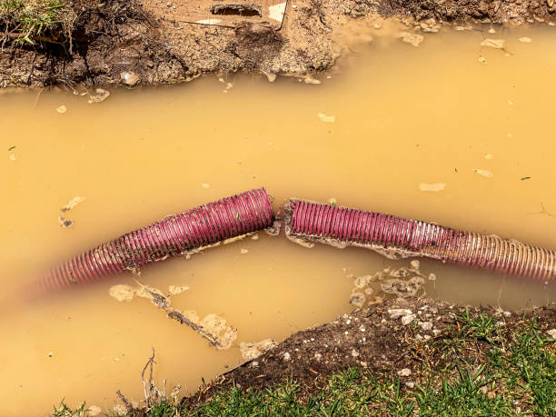 Best Water damage contractors near me  in Sun City West, AZ